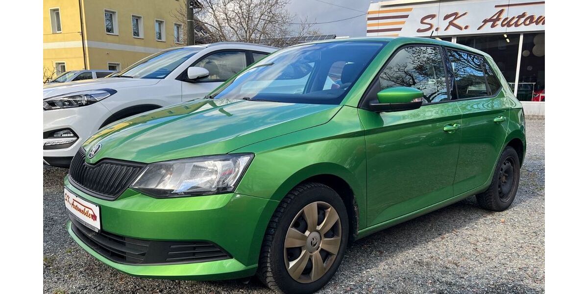 Skoda Fabia 251.000 km 3.999 &euro; Zwickau 08056