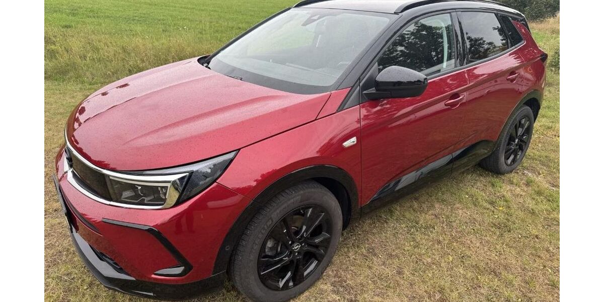 Opel Grandland (X) 33.140 km 26.950 &euro; Lichtenstein 09350