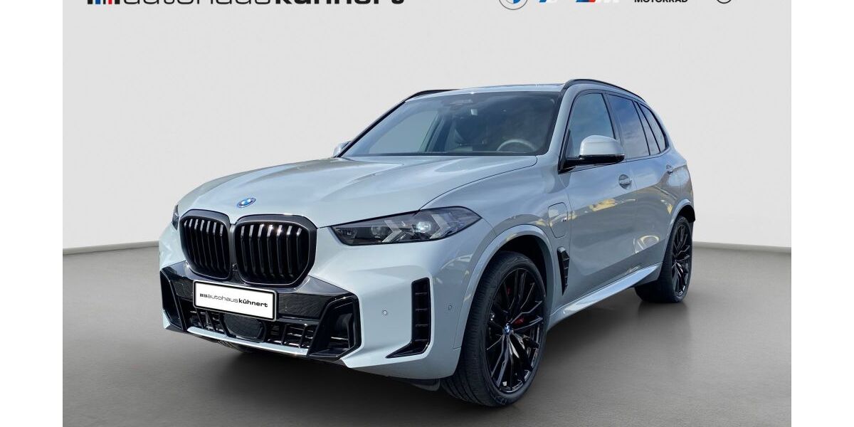 BMW X5 6.175 km 93.998 &euro; Langenwetzendorf 07957