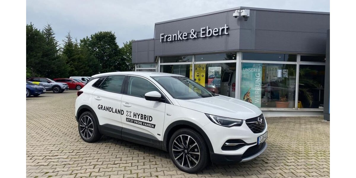 Opel Grandland (X) 35.000 km 18.990 &euro; Reinsdorf 08141