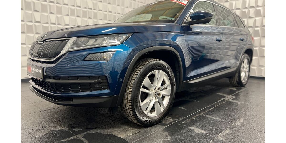 Skoda Kodiaq 124.999 km 18.490 &euro; Werdau OT Steinpleis 08412