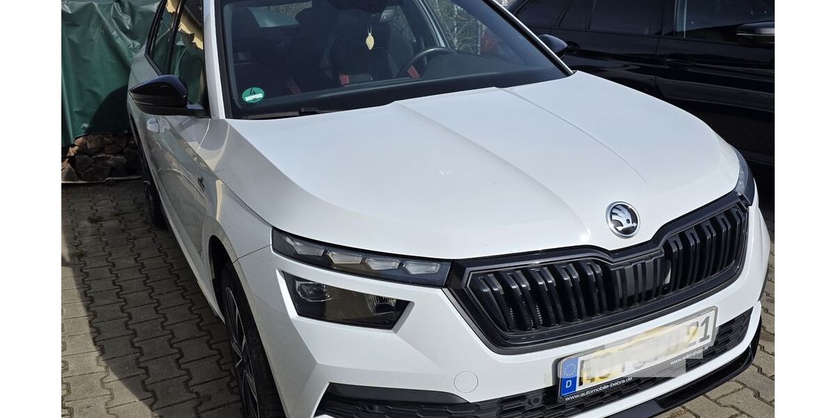 Skoda Kamiq 60.400 km 22.500 &euro; Lichtenstein 09350
