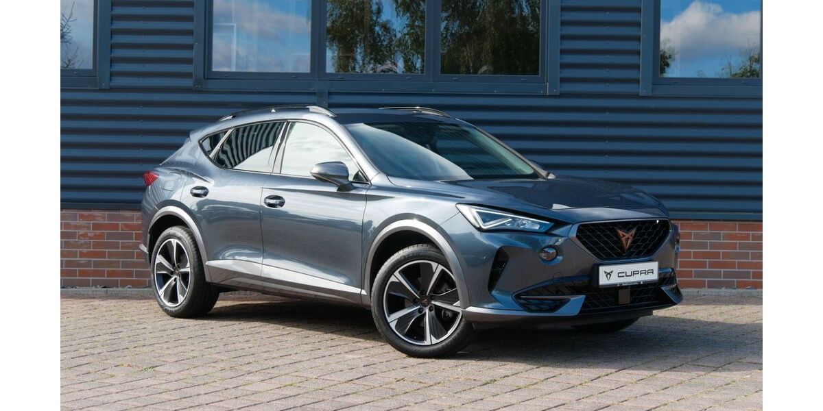 Cupra Formentor 36.990 km 23.290 &euro; Schneeberg 08289