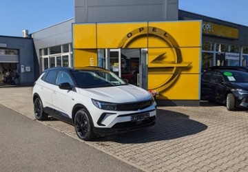 Opel Grandland (X) 2.500 km 33.890 &euro; Schneeberg 08289