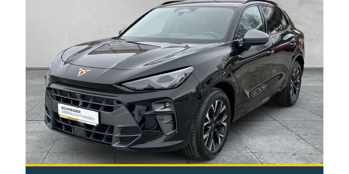 Cupra Terramar 9.961 km 31.890 &euro; Meerane 08393