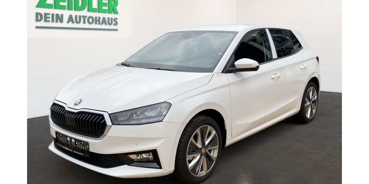 Skoda Fabia 1.001 km 21.990 &euro; Mylau 08499