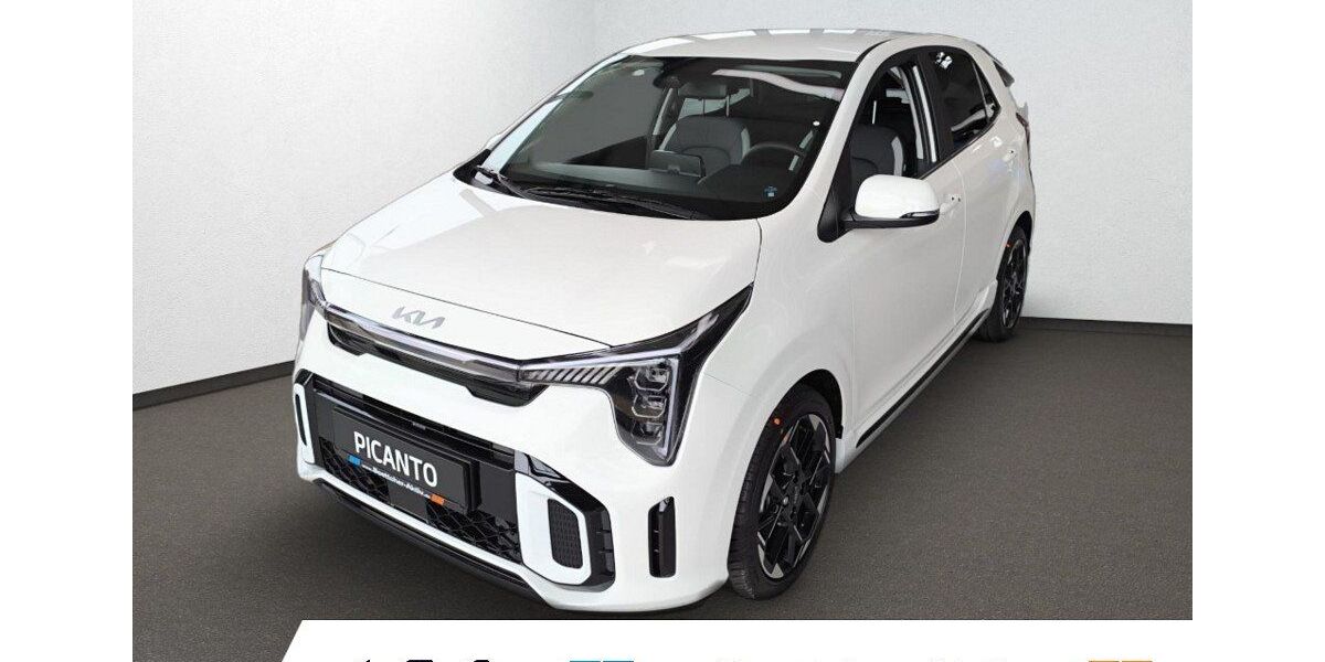 Kia Picanto 3.000 km 18.990 &euro; Zwickau 08064