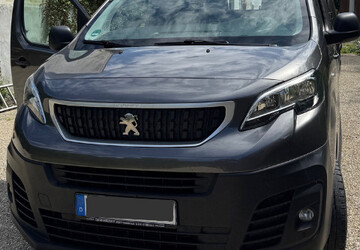 Peugeot Expert Kasten 95.000 km 12.900 &euro; Hartenstein 08118