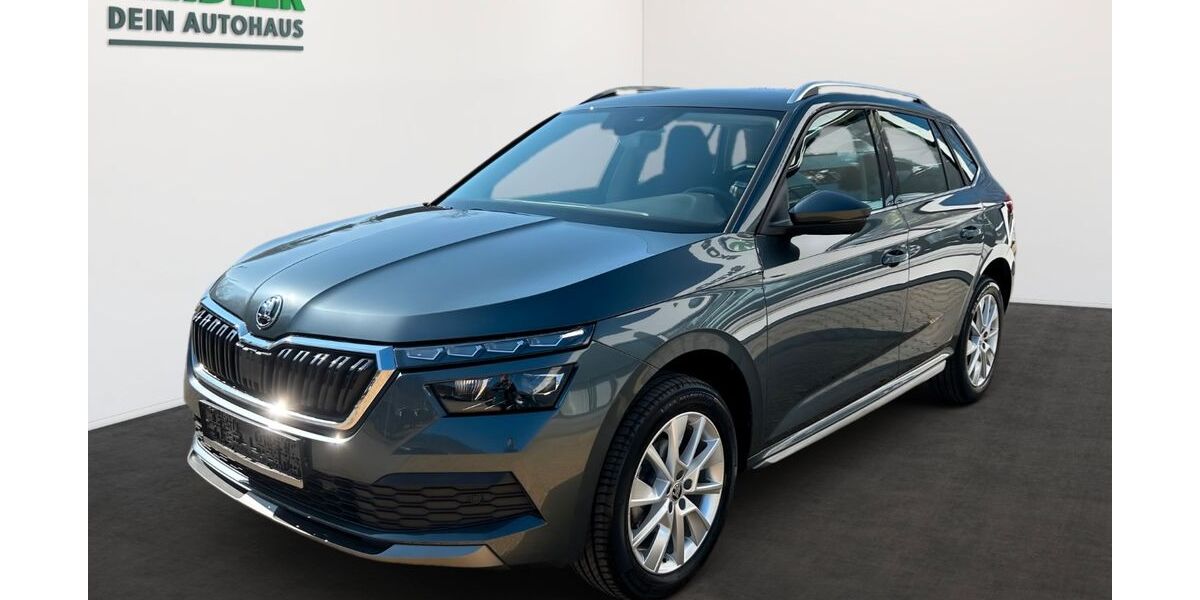 Skoda Kamiq 56.350 km 18.950 &euro; Mylau 08499