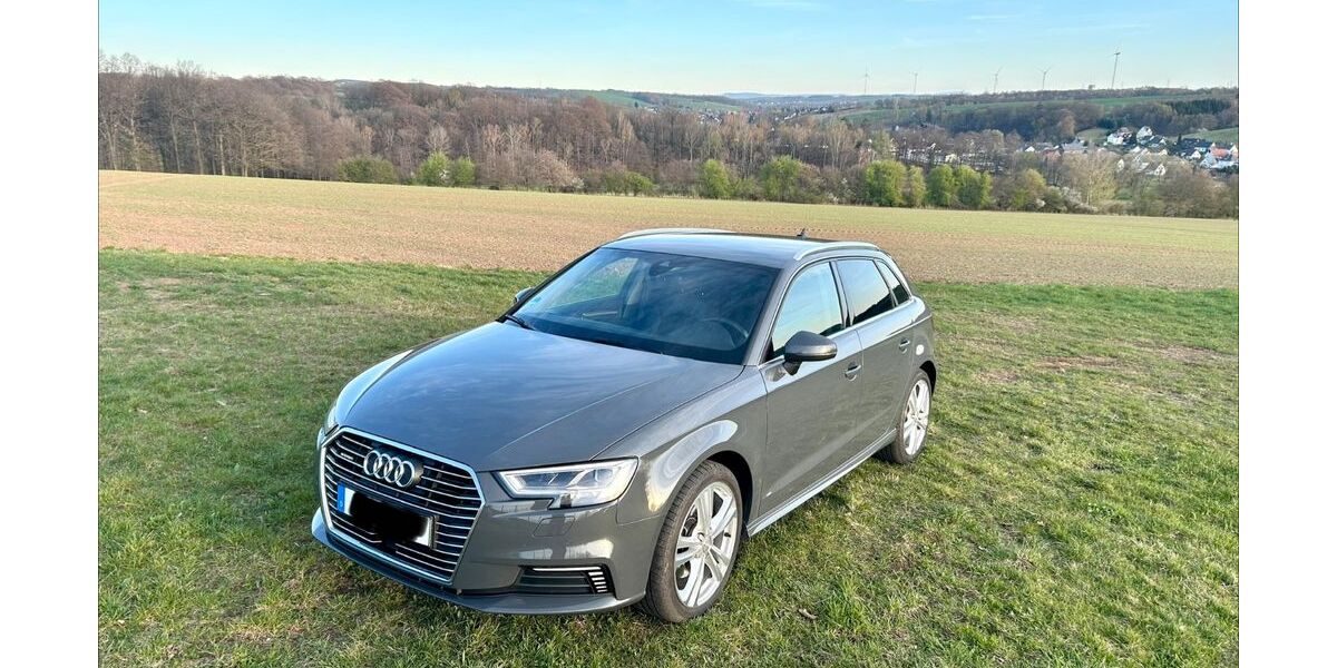 Audi A3 87.500 km 21.950 &euro; Mülsen 08132